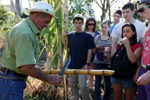 Enrique preparing some sugar for sampling