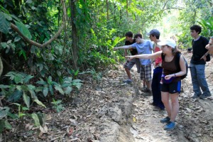 Spotting an Agouti