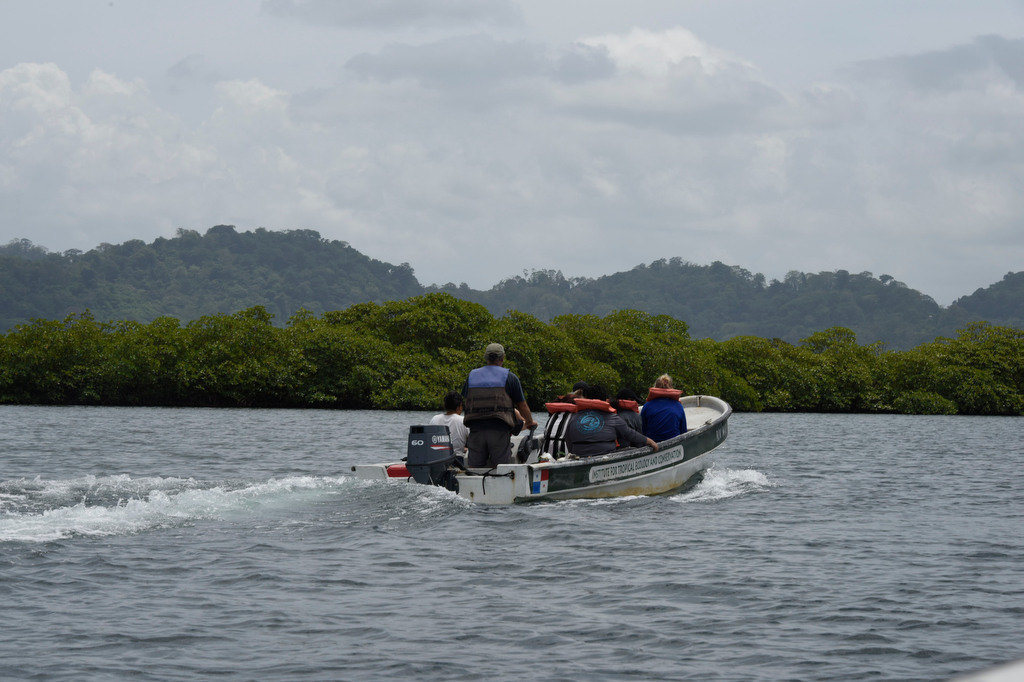 Traveling Finca to Marabella for forest restoration