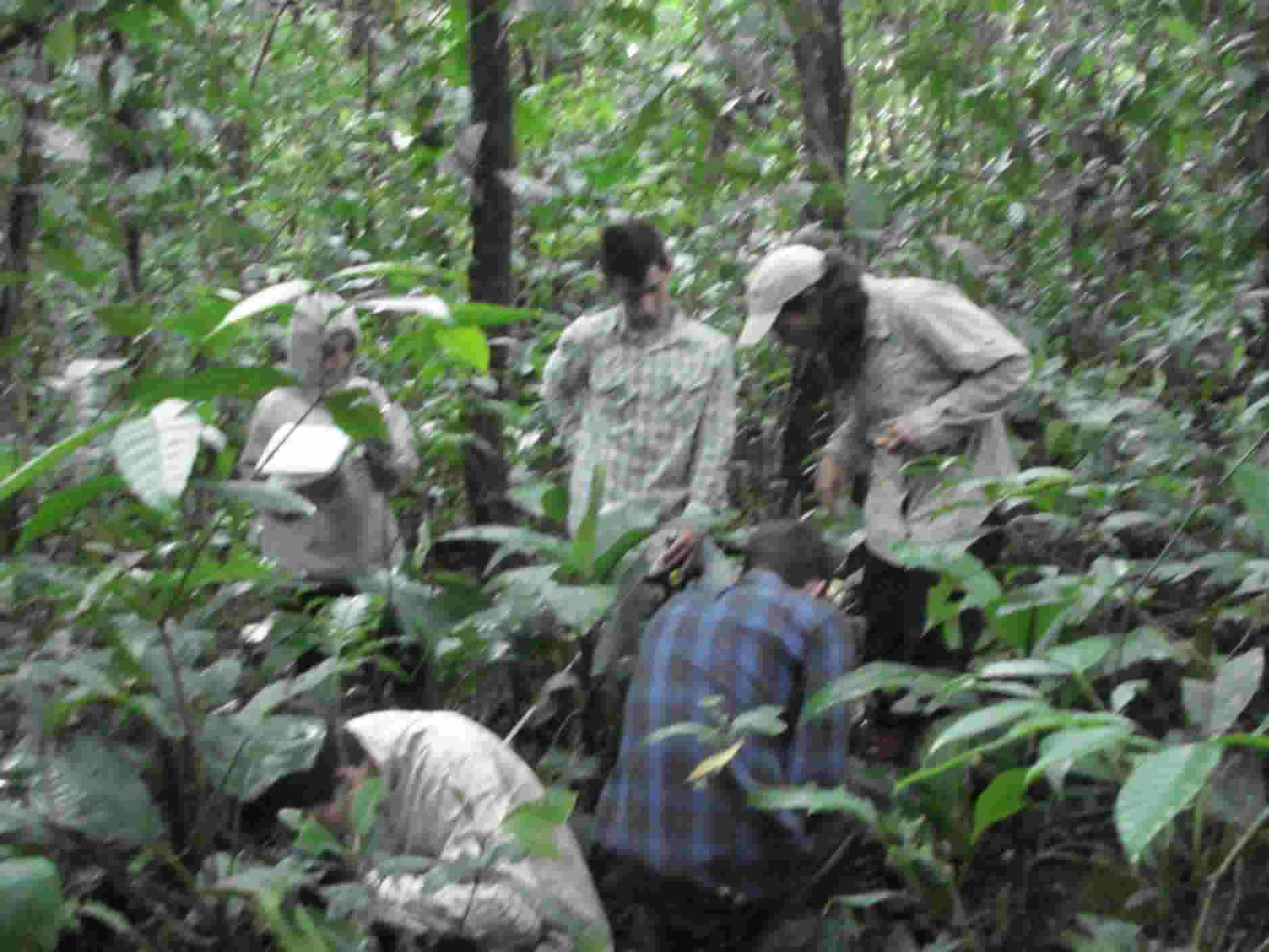 Working in Seondary forest